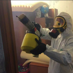 Уничтожение клопов в квартире. Талица